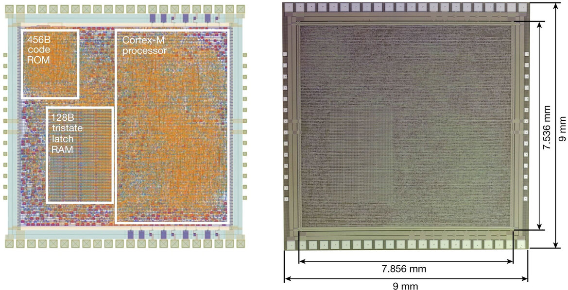 Arm Could Revolutionize Wearable Tech With Innovative PlasticARM Flexible Microchip