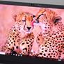 Lenovo ThinkPad X1 Carbon Review: Lenovo's 7th Gen Flagship Impresses